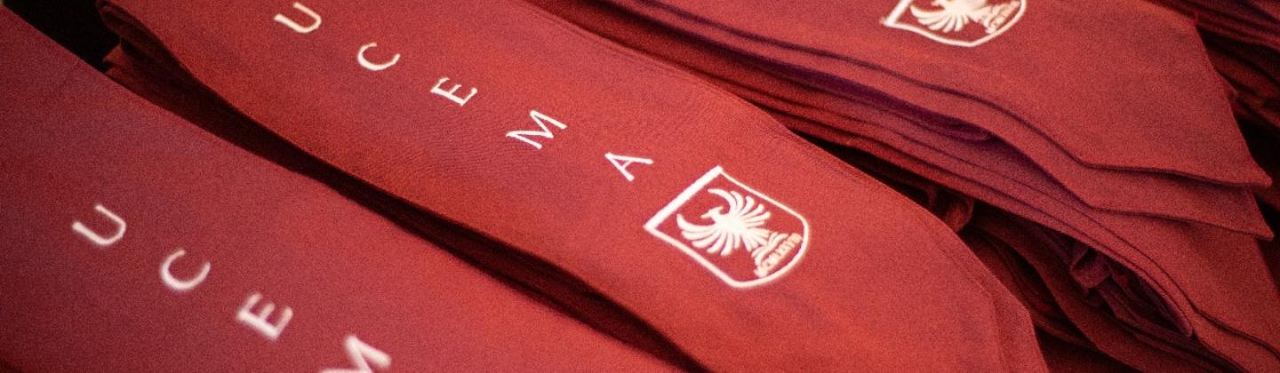 Programa de Mentoreo